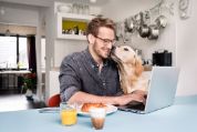 Mann am Computer mit Hund Tiere können Krankheiten auf den Menschen übertragen. Verursacher sind meist Bakterien.